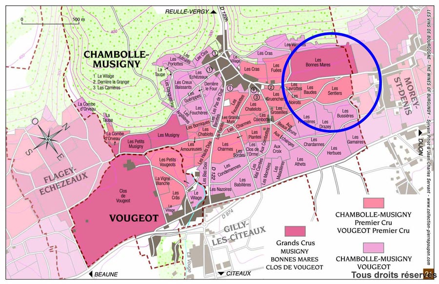 Chambolle-Musigny-Les-Sentiers-vin-primeur-bourgogne