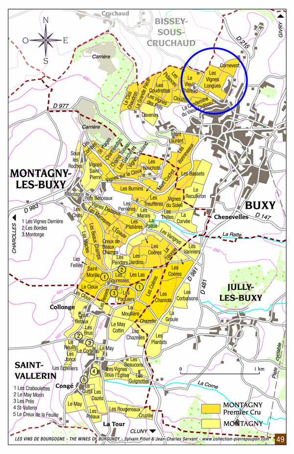 Montagny-VignesLongues-vin-primeur-bourgogne