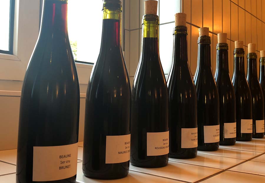 Dégustation des 33 vins rouges avant les enchères des Hospices de Beaune par Albert Bichot