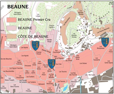 Beaune-1er-cru-guigone-de-Salins