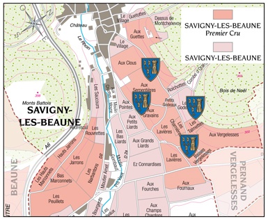 Savigny-lès-Beaune-1er-Cru-Fouquerand